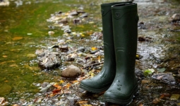 Ariat Gummistiefel